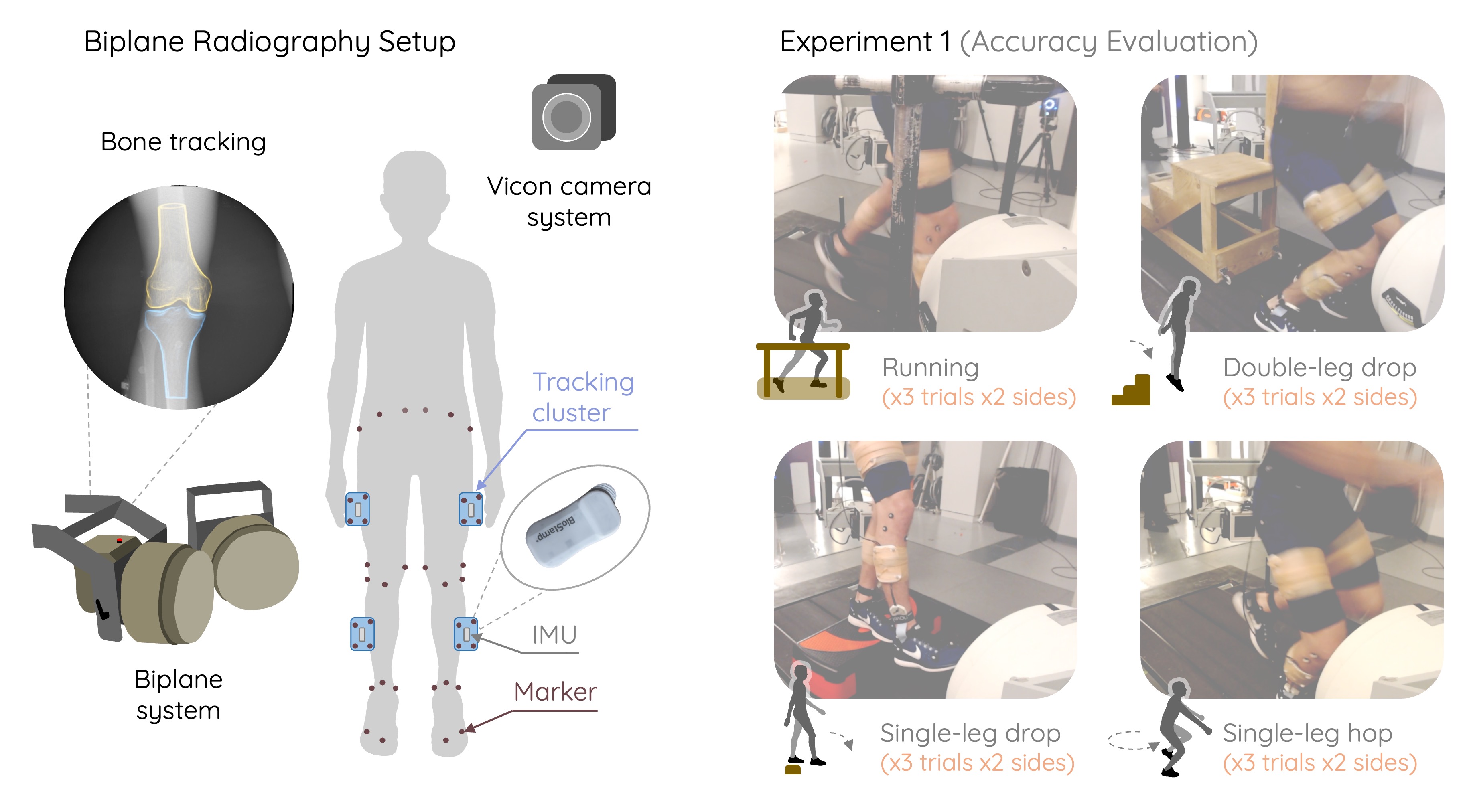 Biplane radiography setup and Experiment 1 tasks: running, single-leg drop, double-leg drop, and single-leg hop, captured with IMUs, marker-based motion capture, and biplane radiography.